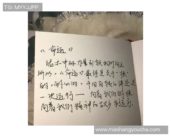 史鸿飞的传奇人生与奋斗历程：从平凡到卓越的启示与思考