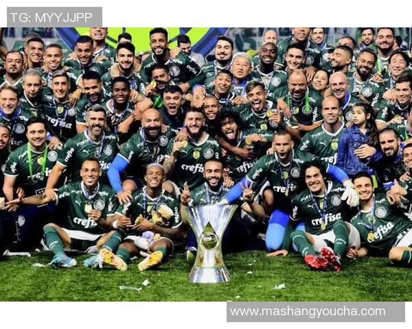 帕尔梅拉与巴西红牛激战正酣谁将夺得本场比赛的胜利荣耀