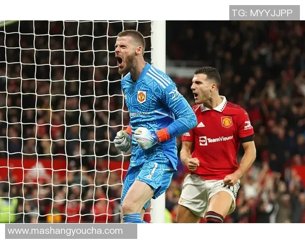 德赫亚神勇表现助曼联战胜埃弗顿决胜时刻展现门将风采