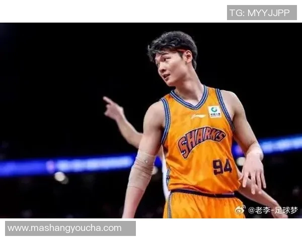 王哲林的篮球之路:从青涩少年到CBA巨星的成长故事 王哲林的篮球之路:从青涩少年到CBA巨星的成长故事