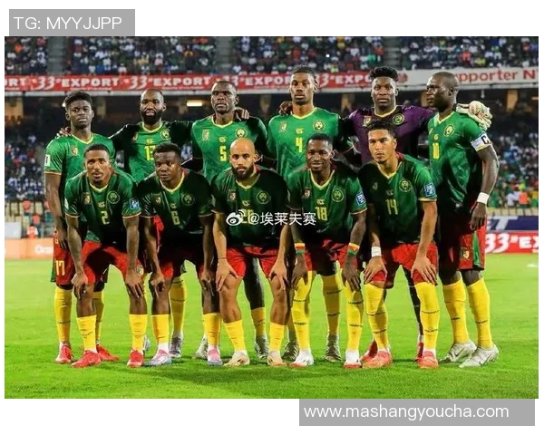 贝宁与喀麦隆最新战况分析及比赛精彩瞬间回顾