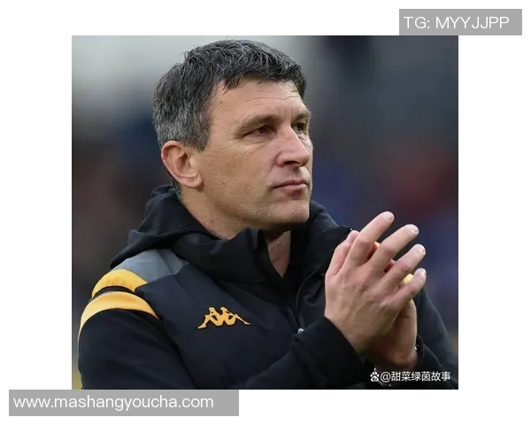 西布朗维奇迎战赫尔城两队争夺英冠积分榜重要位置