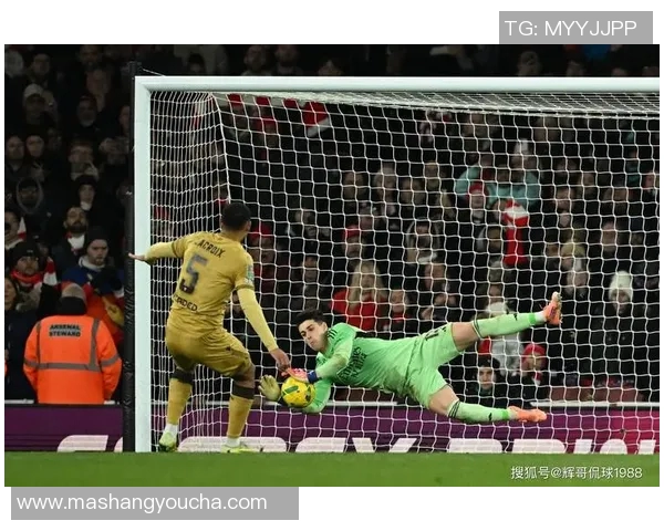 阿尔及利亚与尼日利亚精彩对决视频回顾及赛后分析