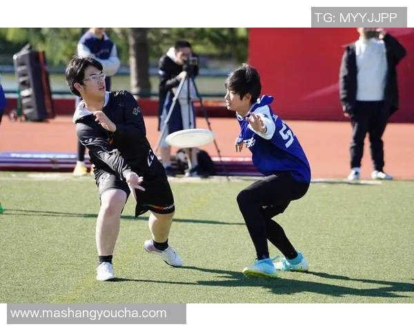 飞盘意识排行榜揭晓北京飞盘队荣登第六名引发关注