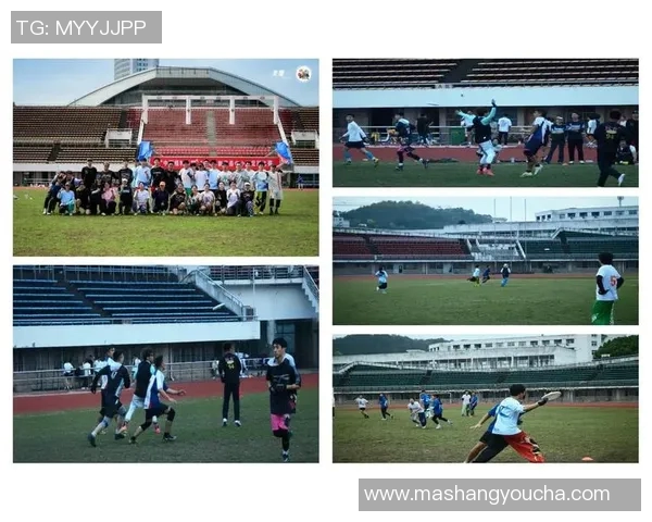 飞盘热潮下的心理素质提升上海飞盘队的蜕变与成长之路